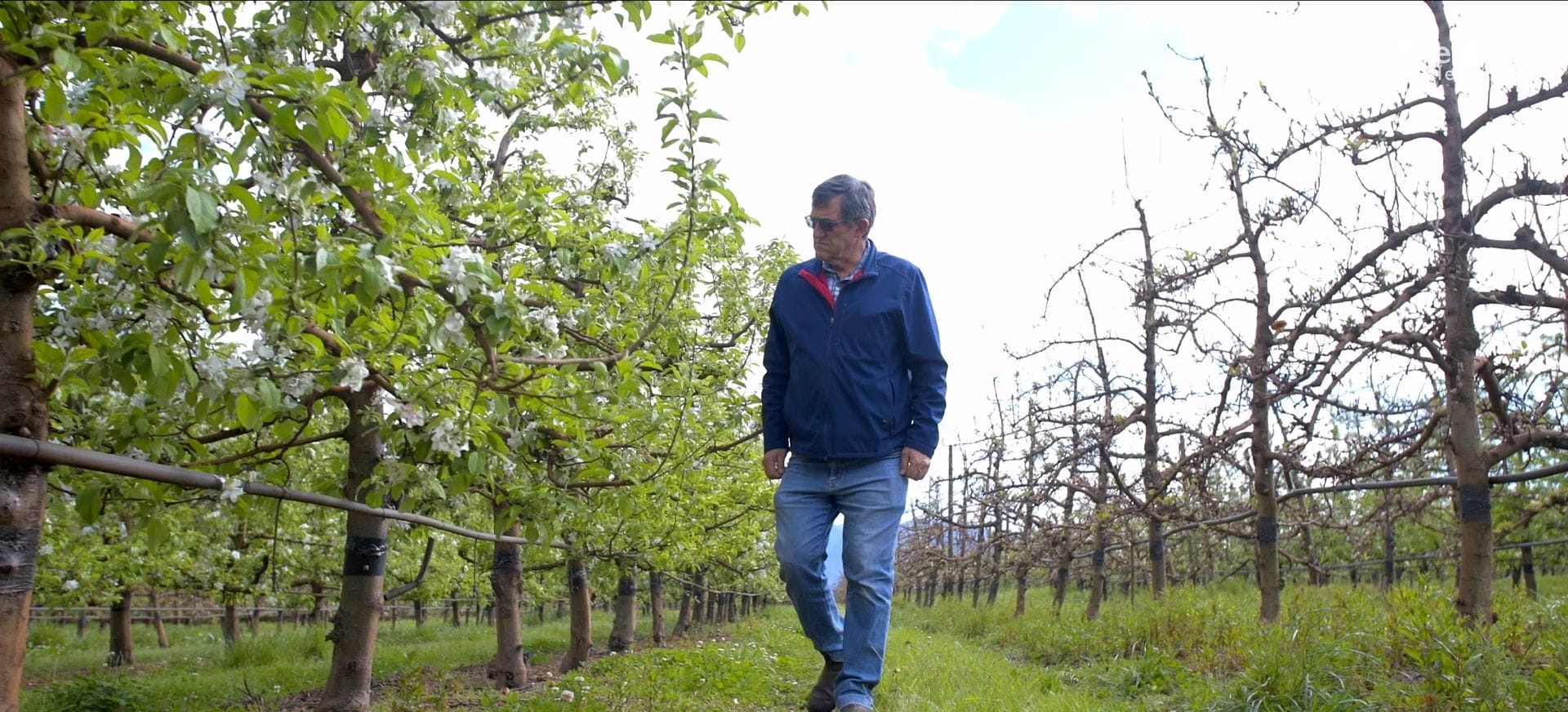 Elgin Orchards powered by pure-air switchgear technology