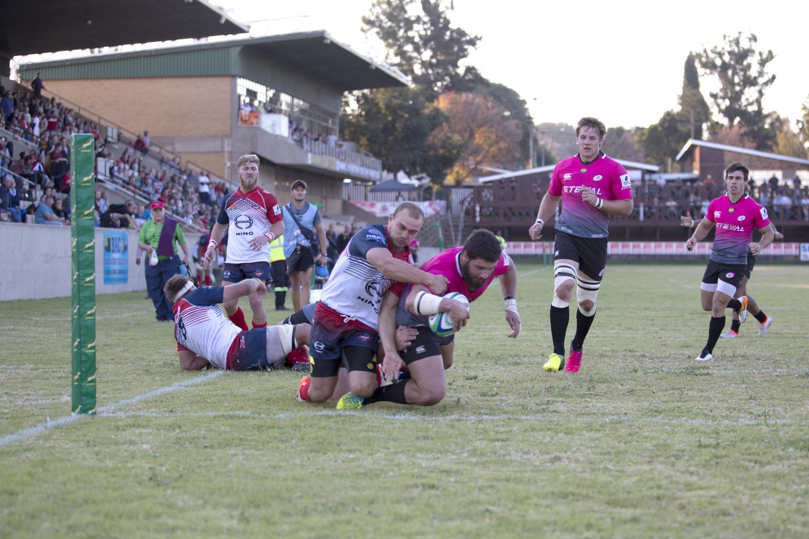 Steval Pumas vs Hino Falcons, head to head, toe to toe