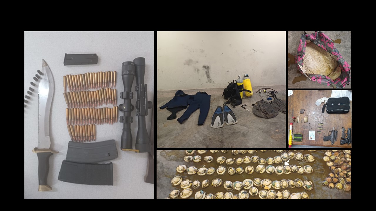 West Coast police detain suspects for isolated crimes