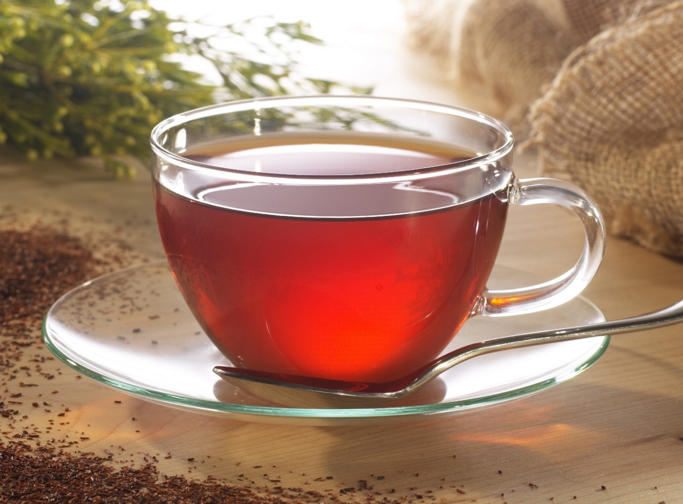 Experts believe Rooibos can help with male fertility