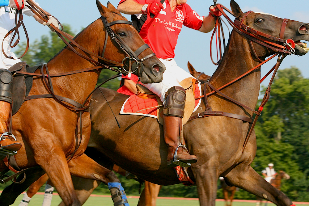 The 49th SA Club Championships brings top polocrosse action to MP