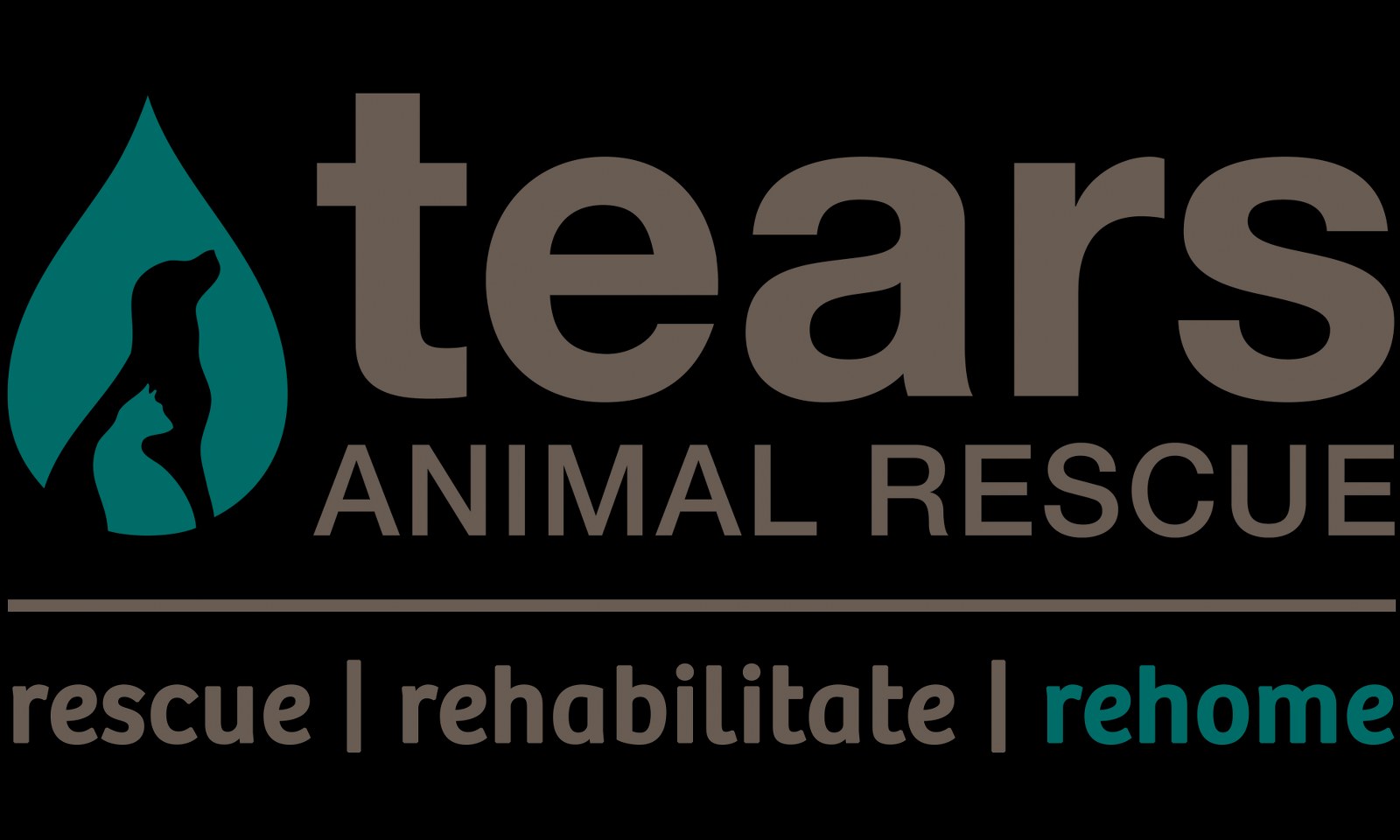 Stray feral cat gives birth to extremely rare 'werewolf' kitten