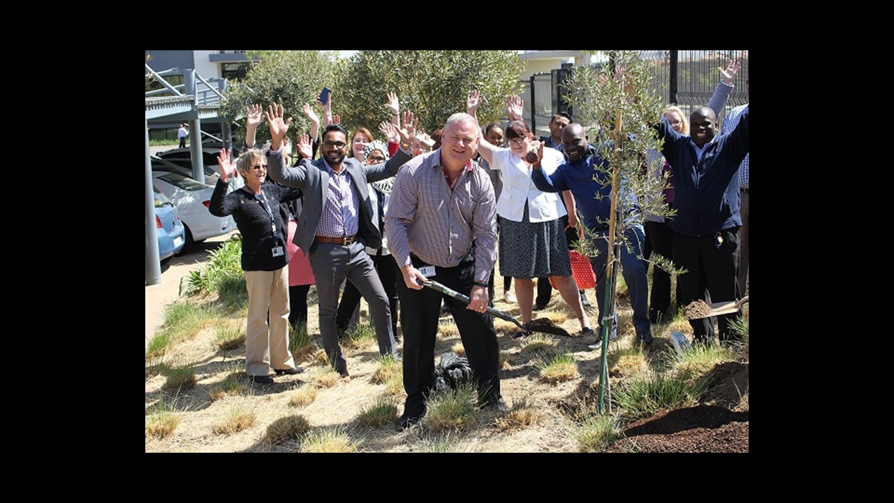 Trees, the ecosystem's gold