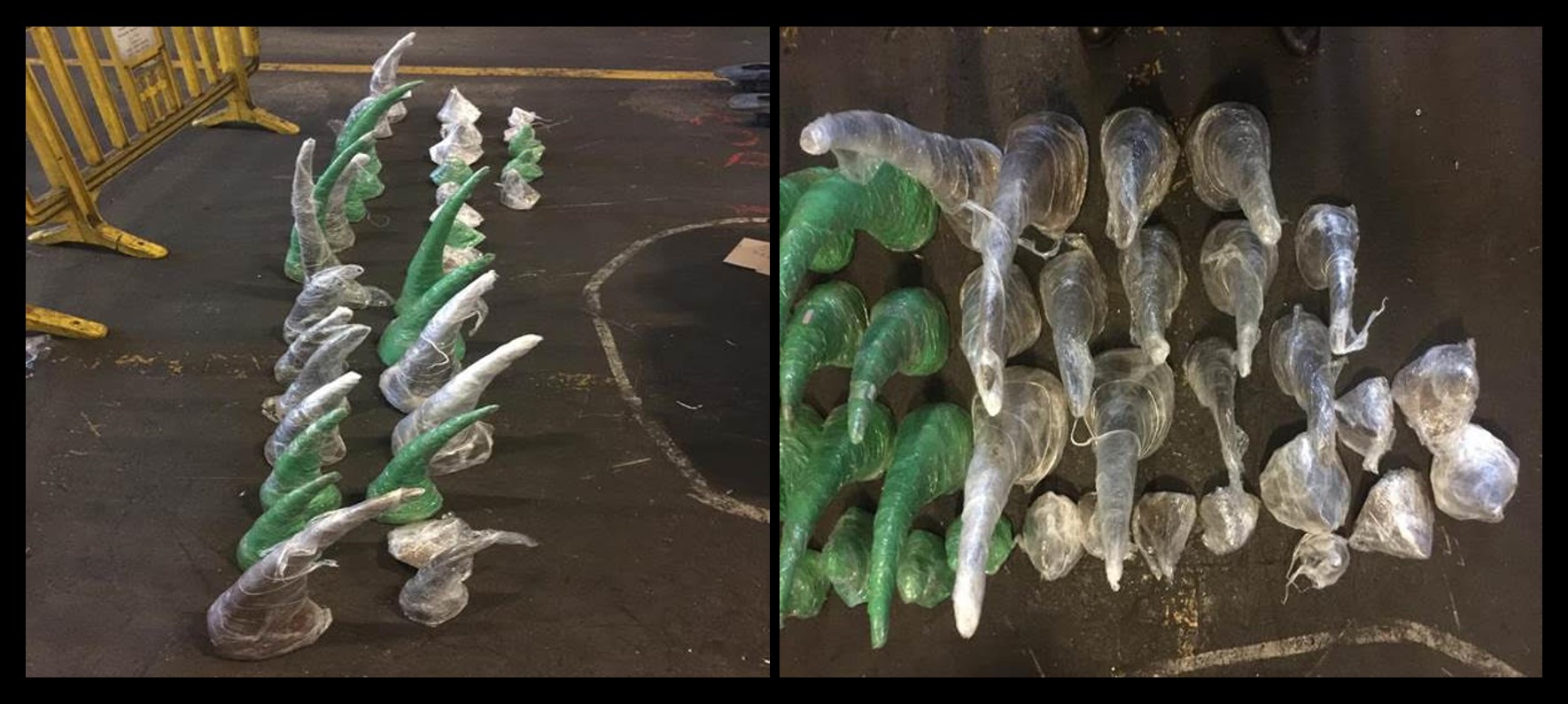 Rhino horn worth over R23 million intercepted by SARS customs