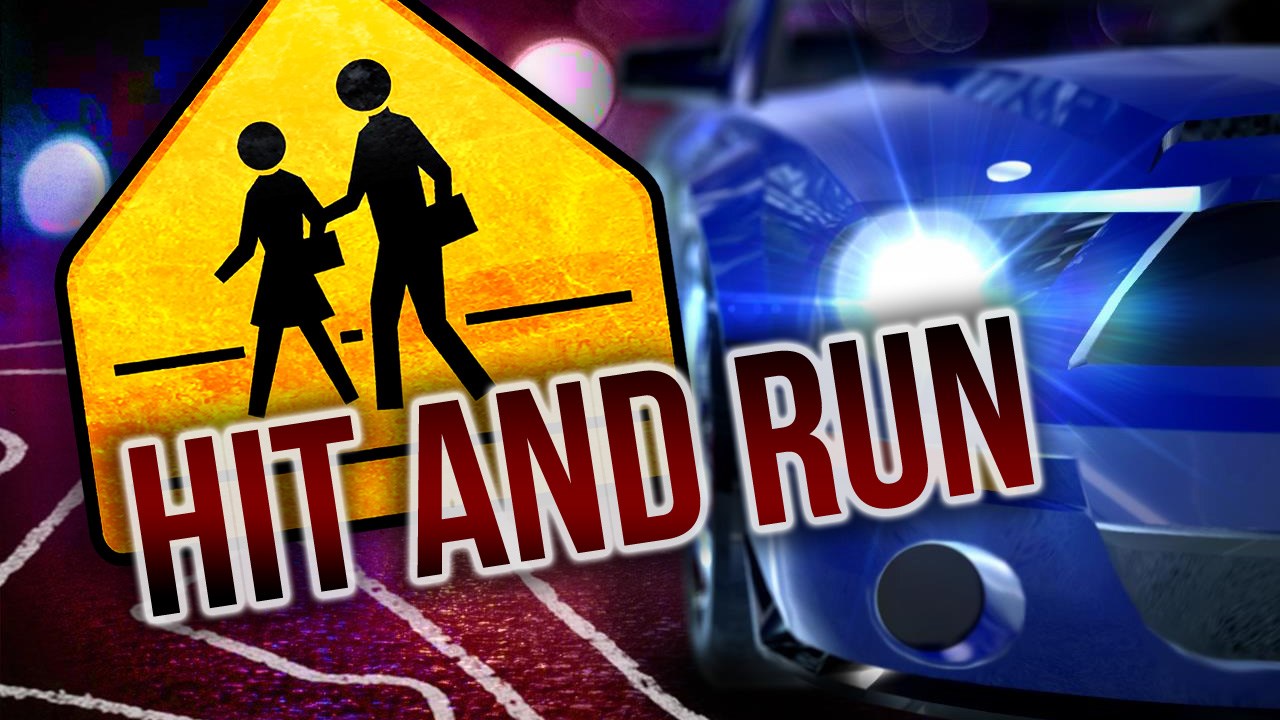 Alleged cop killer remanded in custody