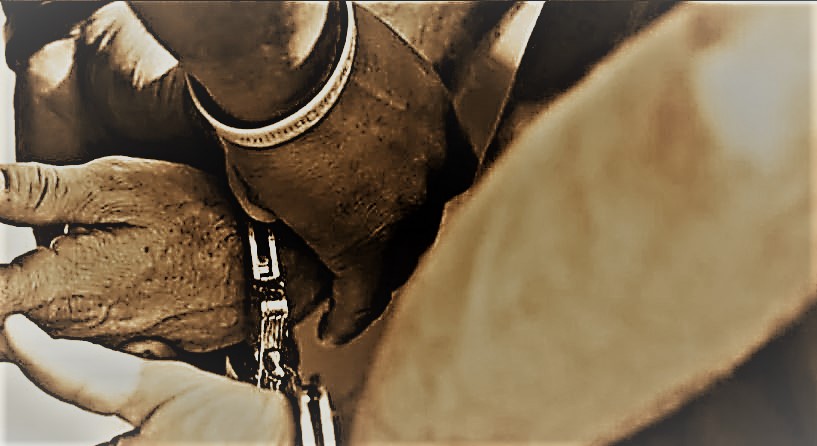 Bribery lands professional nurse in hot water