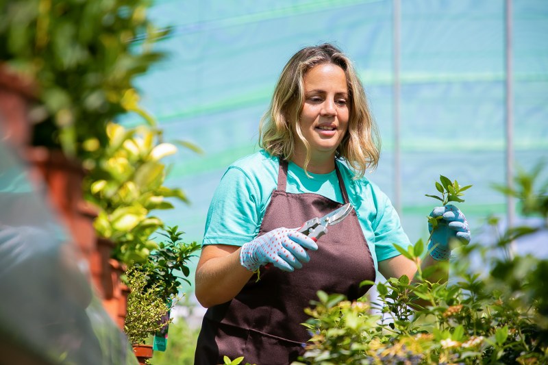 Profitable business ideas in SA for 2025