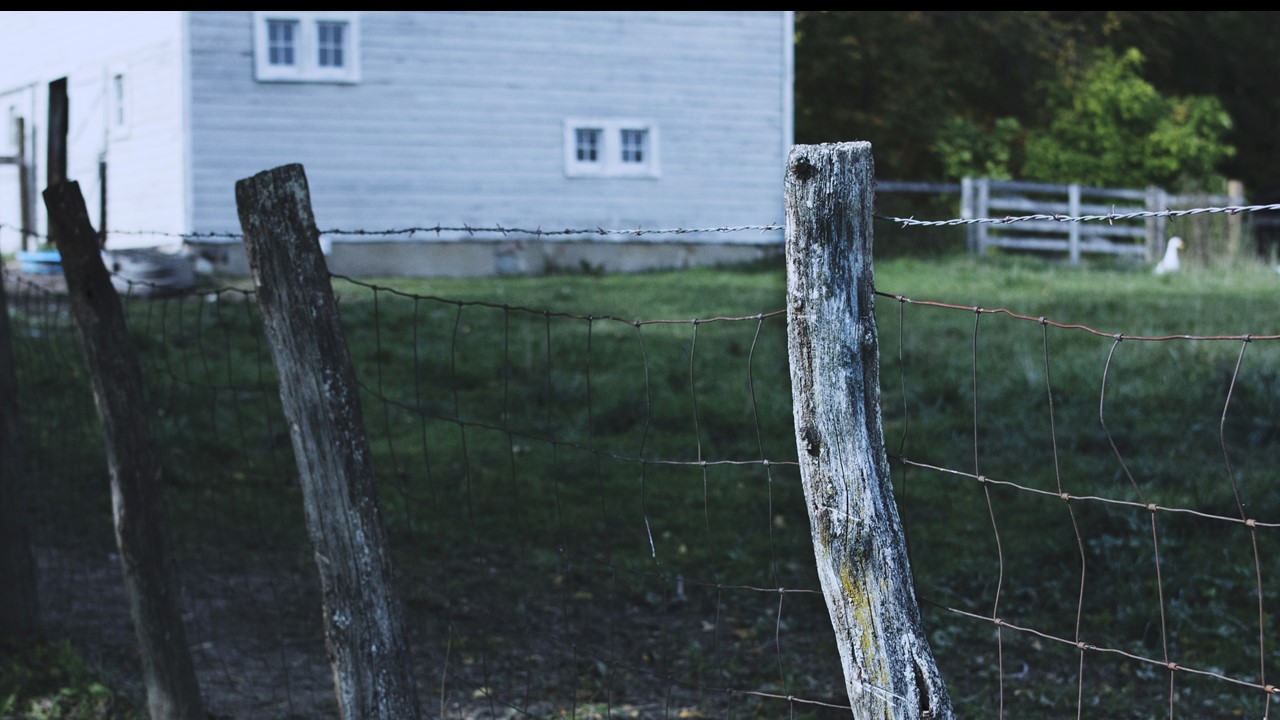 Nederland bevraagteken opnuut grondonteiening en plaasaanvalle in SA