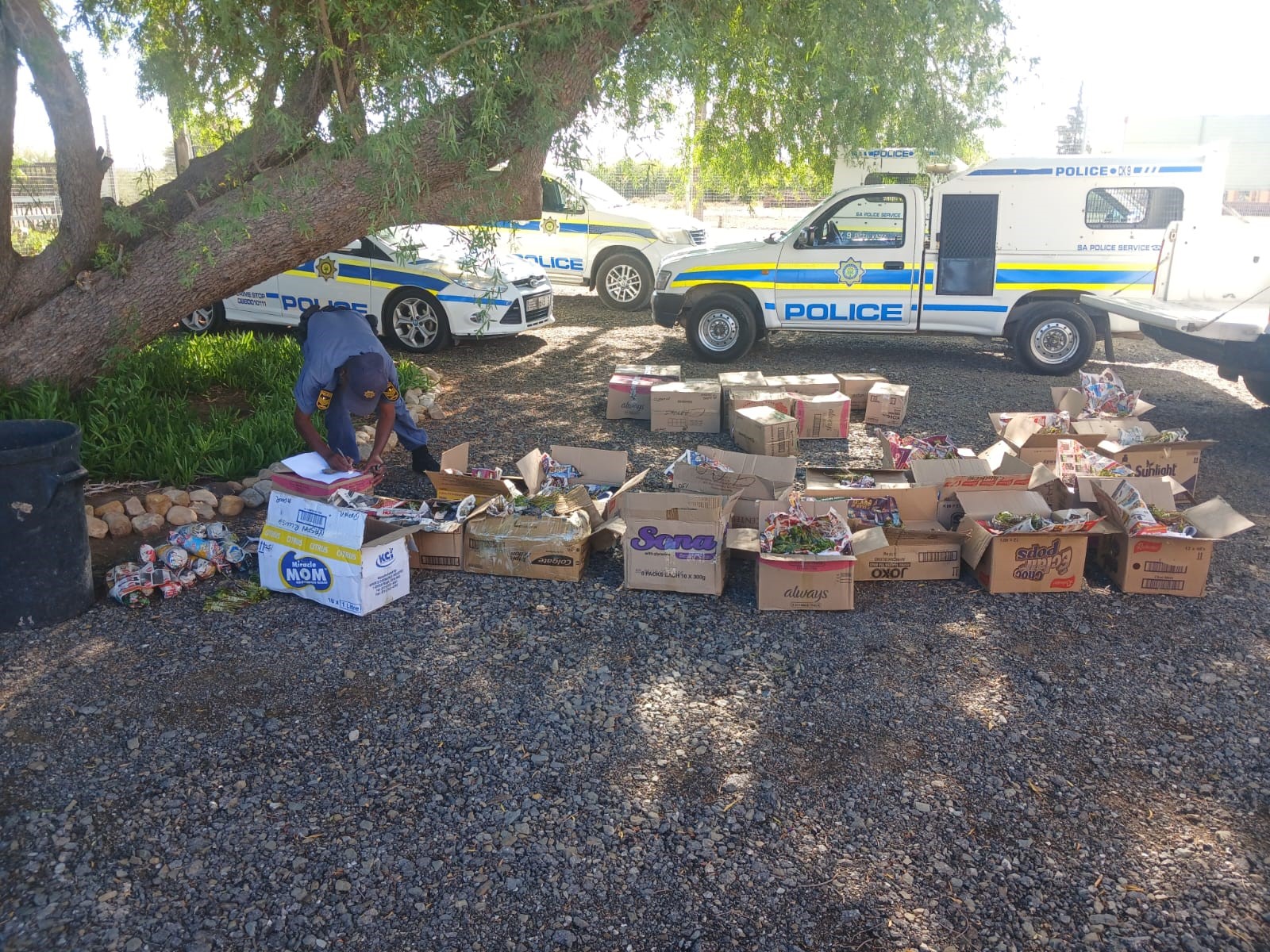 Arrest made in Beaufort West on drug-related charges