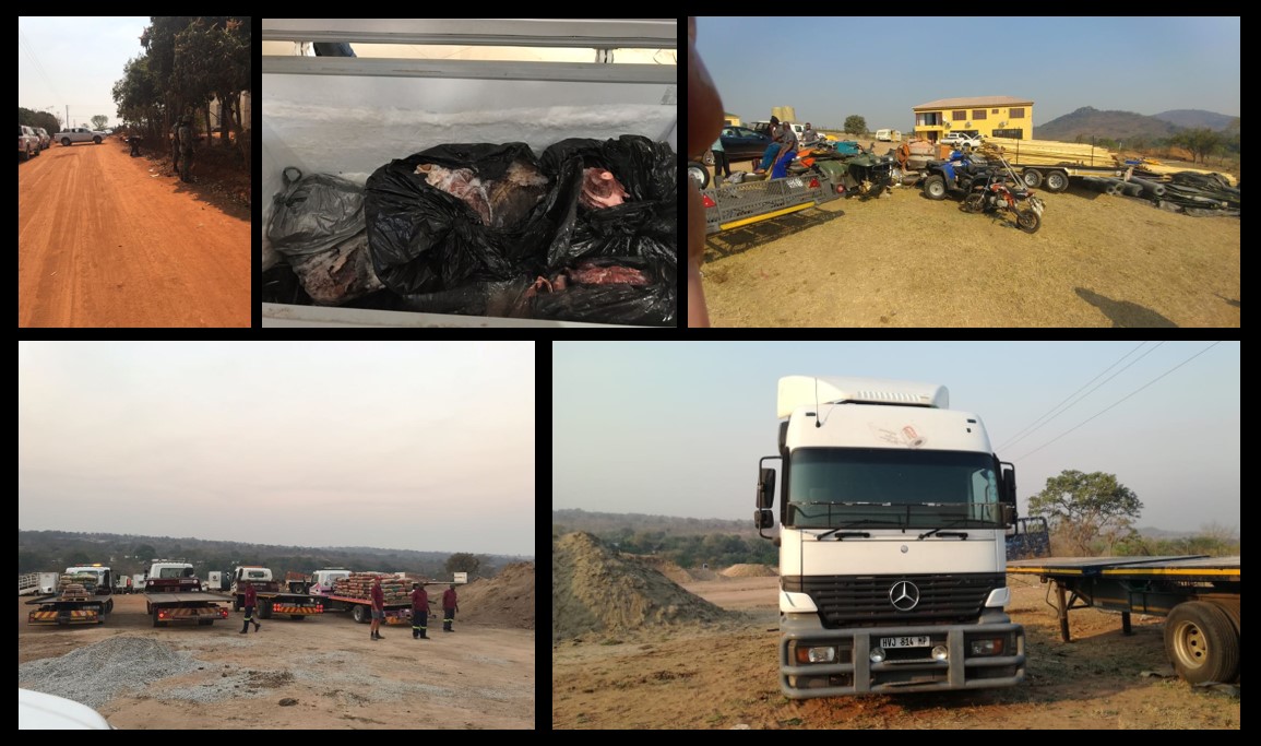 Hawks deal rhino poaching syndicates a huge blow