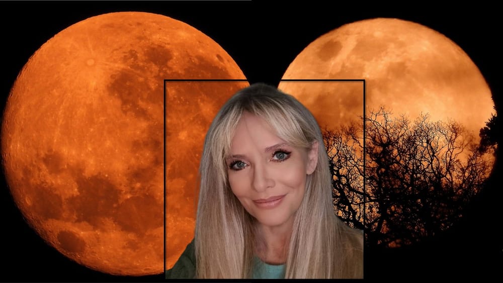 From sunsets to soaring owls, her lens finds the magic in Barberton post image