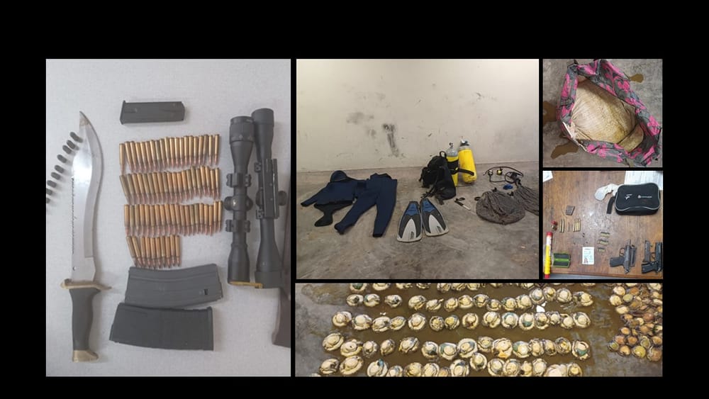 West Coast police detain suspects for isolated crimes post image