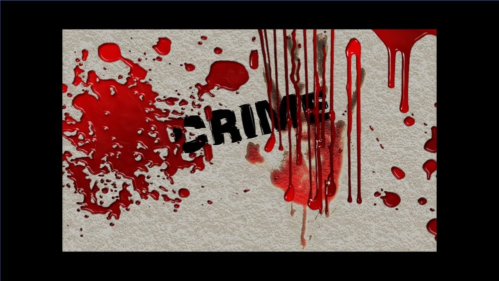 Spate of arrests keeps local court very busy post image