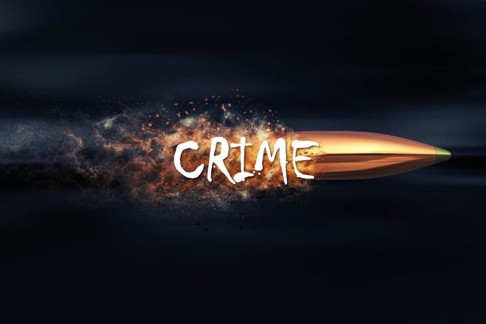 Armed robbers meet their match post image