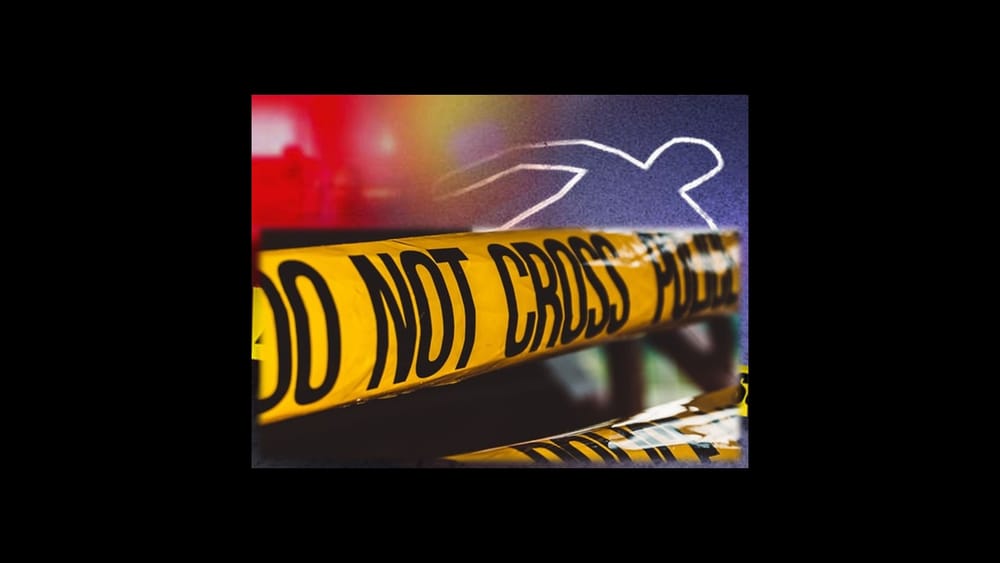 Murder accused turns gun on himself after allegedly shooting his mother to death post image