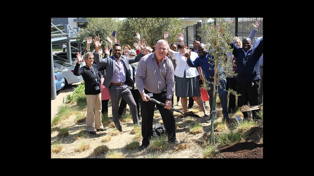 Trees, the ecosystem's gold post image