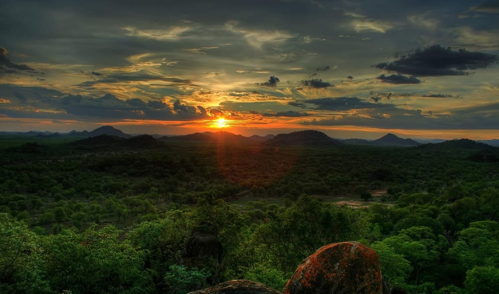 Launch of our redesigned website post image