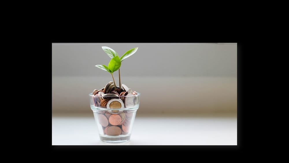 ANC wys ware kleure, skryf Solidariteit post image