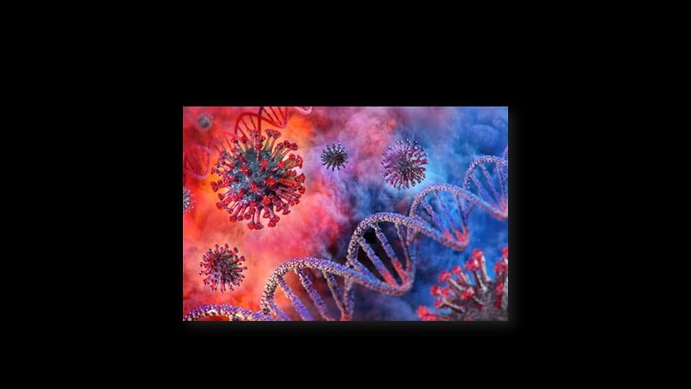 Die Solidariteit Beweging kondig planne aan om Covid-19 te bestry post image