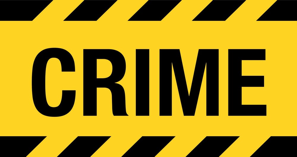 MEC Shongwe calls for no bail for Myburgh abductors post image