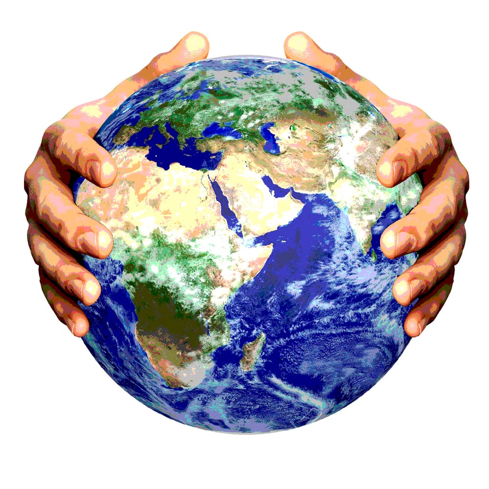 The best of both worlds post image