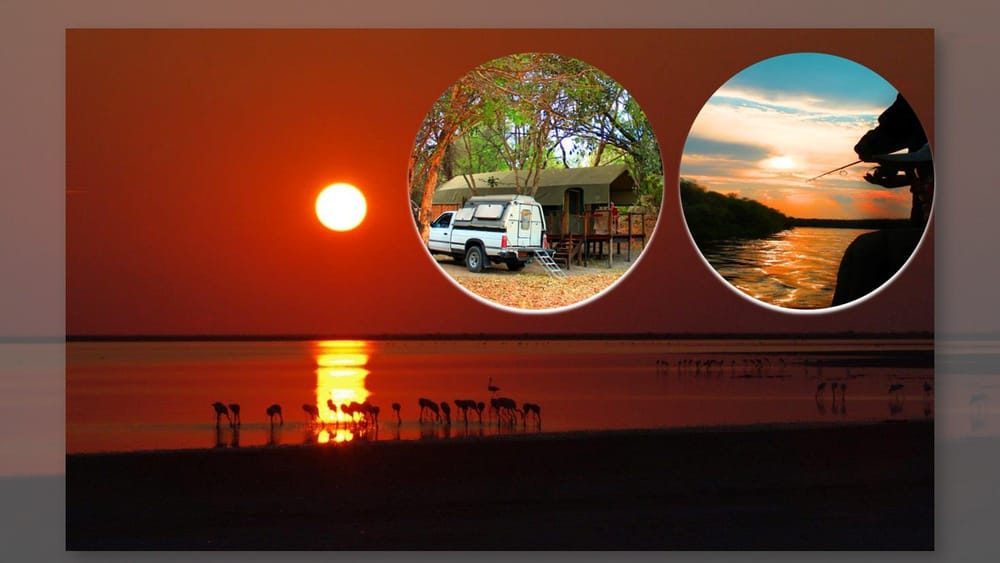 Waterways, warthogs and wonder: A journey into Botswana post image