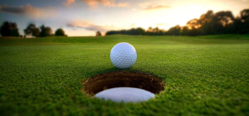 Lupine tops the pile at Pecanwood post image