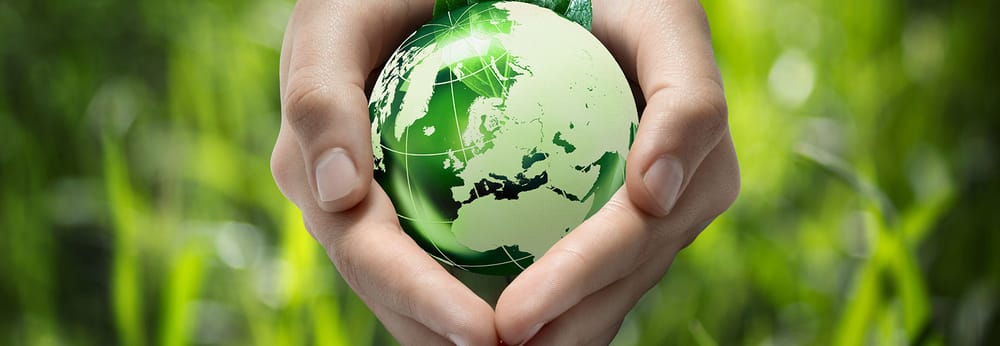 Going Green is not a passing fad post image