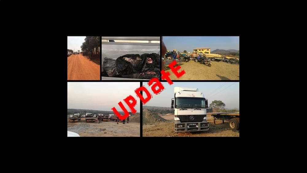 Bail application drags on for alleged rhino-horn kingpins post image