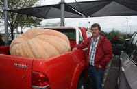 Die mannetjies trek draad post image