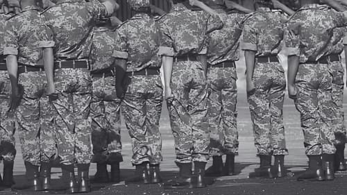 Military families without power as SANDU demands action post image