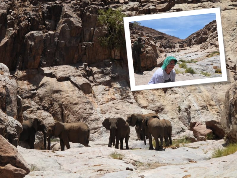 Namibia’s Gentle Giants post image
