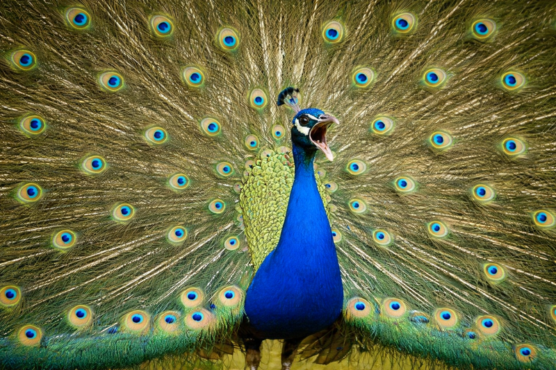 Has personal branding gone off the rails, or is it just my "hardegat" Gen X attitude? post image