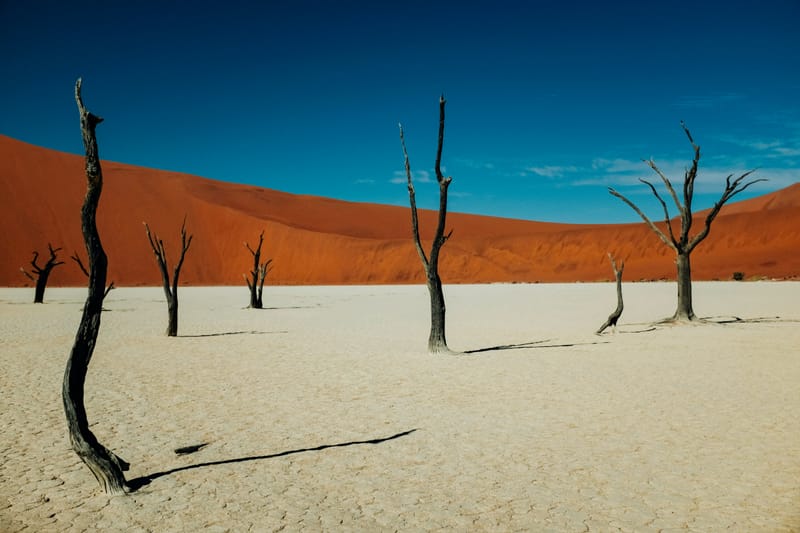 Namibia journeys stay with travellers long after the road ends post image
