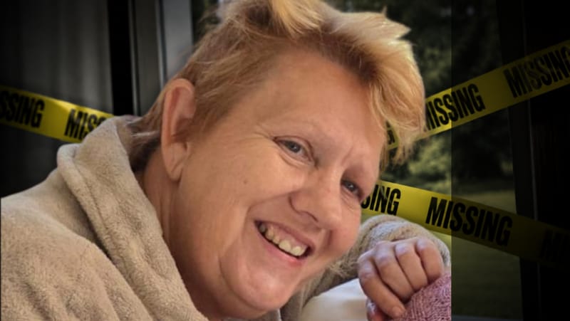Search underway after woman disappears at Lourensford Farm post image